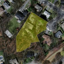 37 Silver Birch Rd, Newton MA 02468-2331 aerial view