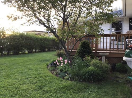 136 Randall St, Worcester MA 01606-2039 exterior