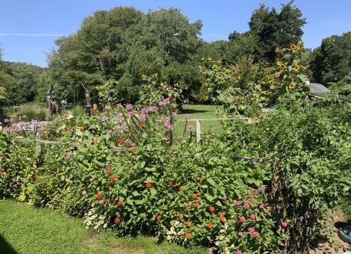 17 Guide Board Rd, Plymouth MA 02360 exterior