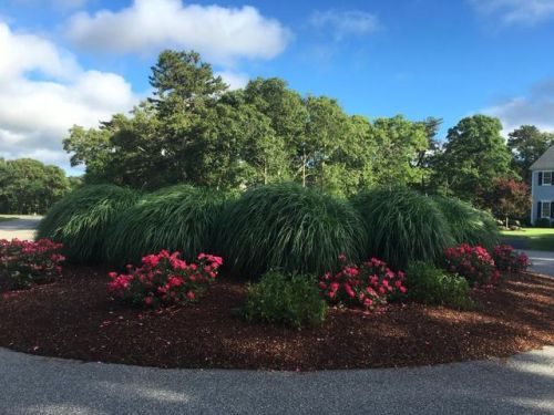 9 Oyster Pond Rd, Harwich MA  02645-2065 exterior