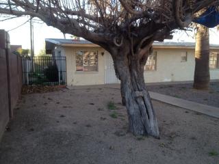 16628 25th St, Phoenix, AZ 85032-2502