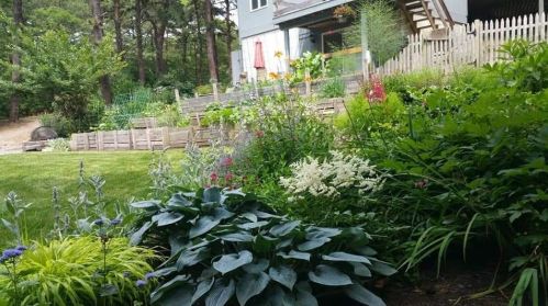 139 Indian Hl Rd, Chatham MA 02633-1609 exterior