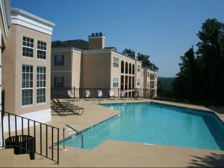 1000 Wild Forest Dr, Birmingham AL  35209-6754 exterior