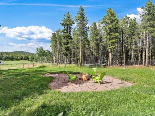 31595 Griffin Dr, Conifer CO 80433-9507 exterior