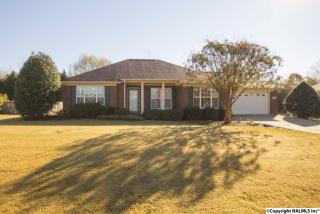 217 Tara Leigh Dr, Huntsville AL  35811-7941 exterior