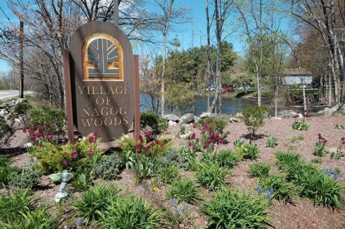 392 Pinecone Strand, Acton MA  01718-1018 exterior