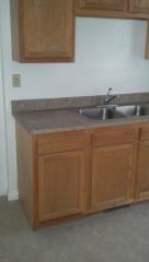 1564 256th St, Cleveland OH  44132-2738 exterior