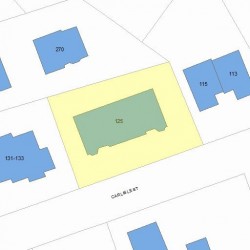 125 Carlisle St, Newton MA  02459-2381 plot plan