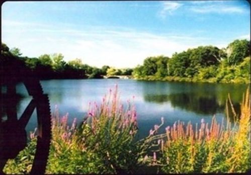 20 Stone Mill Dr, Dedham MA 02026-2945 exterior