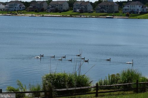 11 Waterview Dr, Erial NJ  08081-1683 exterior