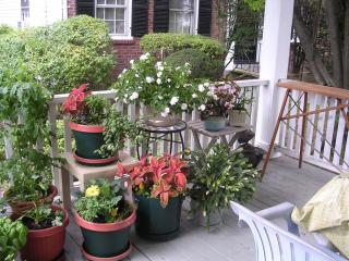 1127 Walnut St, Newton MA  02461-1260 exterior