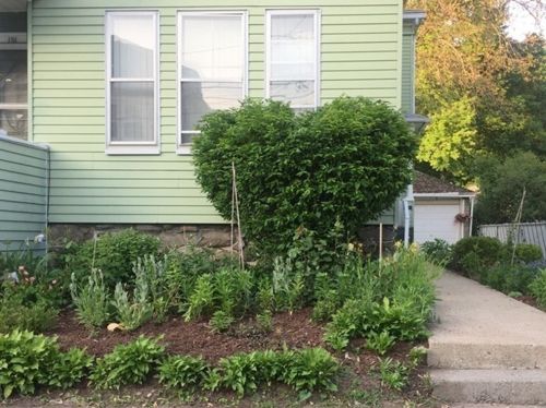 153 Warwick St, Lawrence MA  01841-3247 exterior