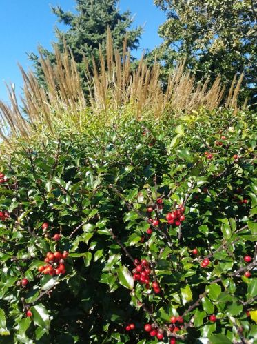 65 Morris Is Rd, Chatham MA 02633-2526 exterior