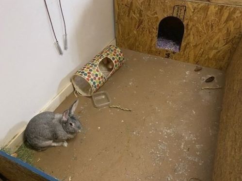 747 Penn St, Fall River MA 02724-1276 exterior