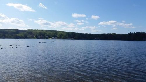 5 Griggs Rd, Sutton MA  01590-1015 exterior