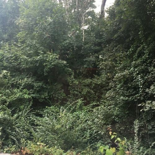 14 Governor Long Rd, Hingham MA 02043-4516 exterior