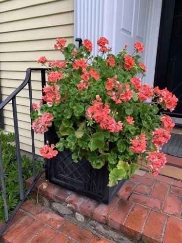 7 Monadnock Rd, Arlington MA 02476-8026 exterior