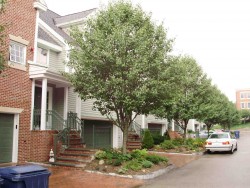 342 Boylston St, Newton MA 02459-2859 exterior