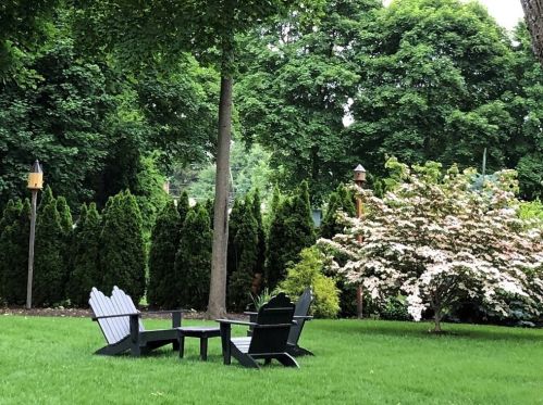 117 Pickering St, Needham, MA 02492-3125