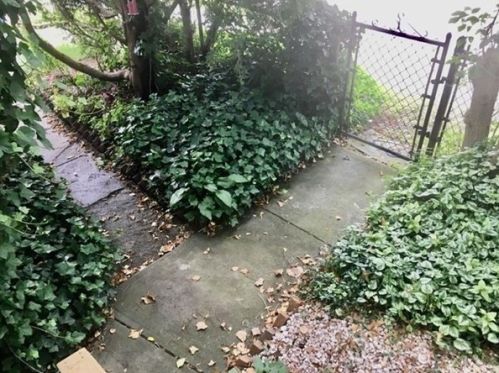 187 Crapo St, New Bedford MA 02744-1027 exterior