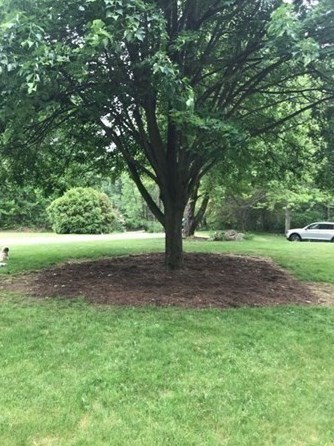 1 Assabet Xing, Acton MA 01720-5237 exterior