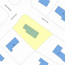 7 Dorothy Rd, Newton MA 02459-3308 plot plan