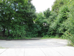 114 River St, Newton, MA 02465-1830