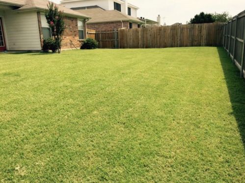 3401 Sewell Dr, Garland TX  75048-5415 exterior