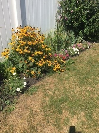 123 Locust St, New Bedford MA 02740-4506 exterior