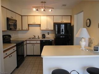 234 Alexandria Way, Basking Ridge NJ  07920-2775 exterior