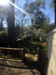 1014 47th St, Richmond VA  23225-4649 exterior