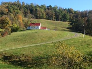 725 Sycamore Shaw Rd, Industrial, WV 26426-8148