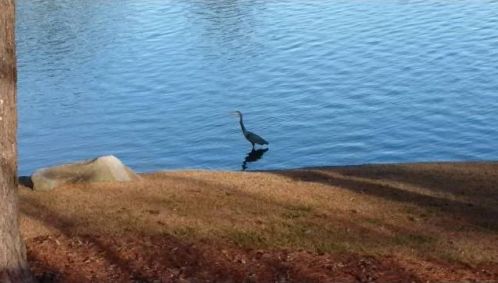 2091 Napoli Cir, Conyers GA 30012-2954 exterior