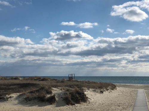 19 Cranberry Ln, Harwich MA 02645-3008 exterior