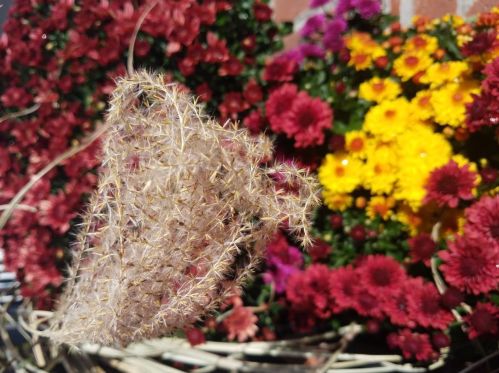 65 Morris Is Rd, Chatham MA 02633-2526 exterior