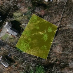 175 Elgin St, Newton MA  02459-2301 aerial view