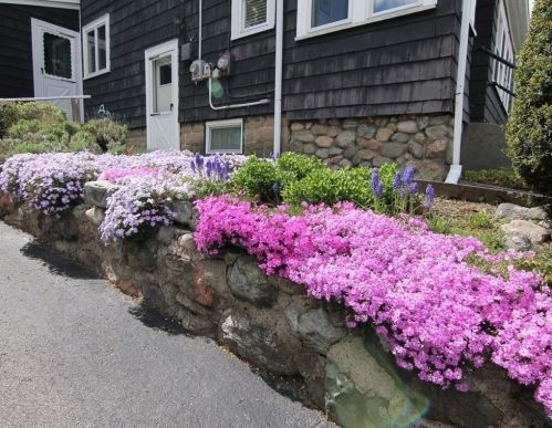 132 Wildwood Ave, Arlington, MA 02476-6244