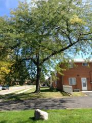 879 Meadows Ct, Columbus OH  43229-3244 exterior