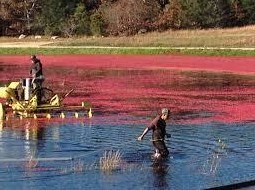 850 Falmouth Hwy, Falmouth MA 02540-2118 exterior