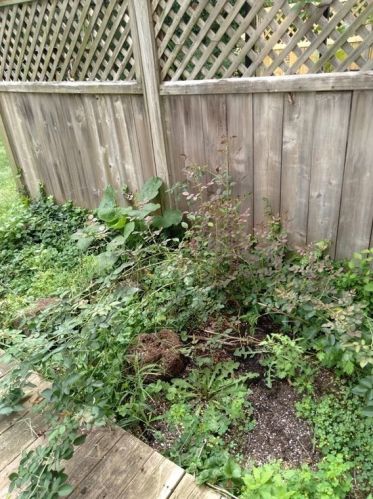 170 Hadley Rd, Amherst MA 01002-3151 exterior