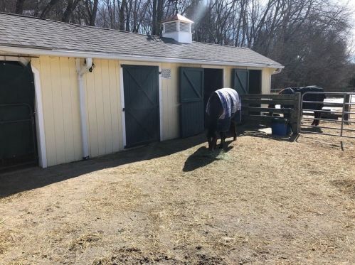 16 Pierce Rd, Sutton MA 01590-2909 exterior