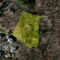 180 Elgin St, Newton MA  02459-2302 aerial view