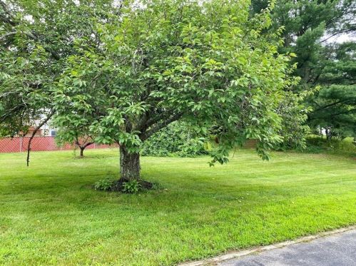 1070 Somerset Ave, Taunton MA 02780-4622 exterior