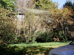 61 Halcyon Rd, Newton, MA 02459-2431