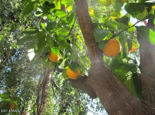 2215 Claremont St, Phoenix AZ 85015-2029 exterior