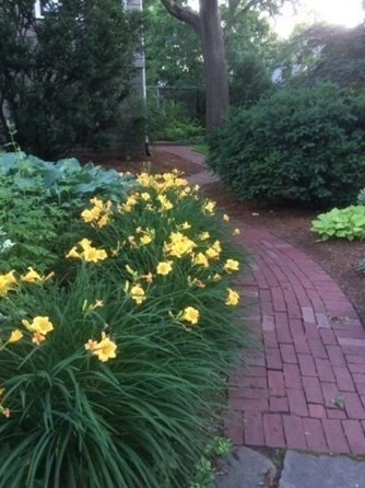 147 Highland Ave, Arlington MA 02476-7846 exterior