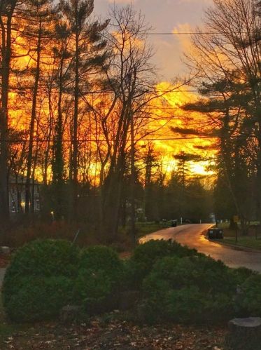 22 Mohegan St, Norfolk MA 02056-1125 exterior