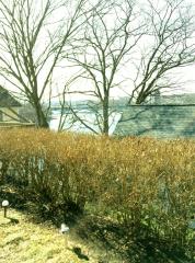 17 Grove St, Shrewsbury MA  01545-4622 exterior