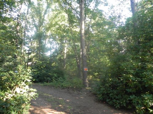 137 Jackson Ml Rd, Jackson Twp NJ 08527-4447 exterior