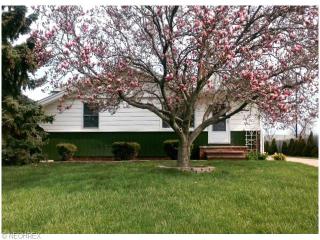 17934 Adams Dr, Cleveland, OH 44149-1602